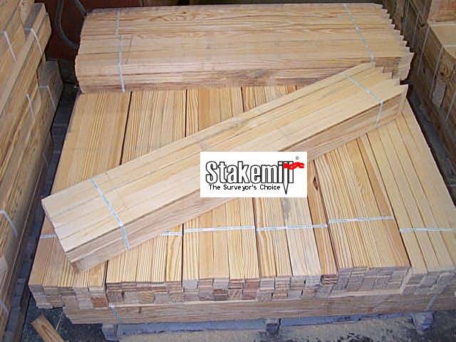 Survey Lath