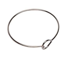 (image for) SitePro Carry Ring for Chaining Pins 17-411