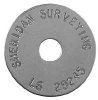 (image for) Survey Disk Washers Stainless Steel
