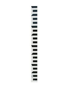 (image for) Stream Gauge 4 Inch Unnumbered (Feet/10ths)
