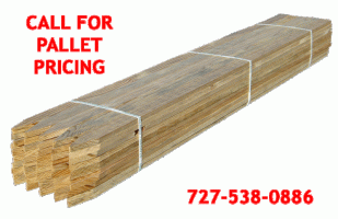 (image for) 48 Inch Hardwood Survey Lath 1/2" Thick (50 pieces)