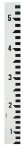 (image for) 7-inch Width — 5.5'-10.5' with Ft/10ths Grad