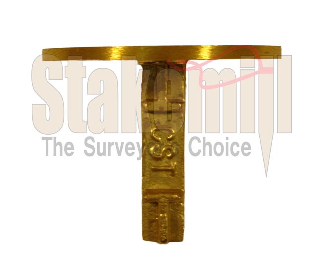 (image for) 2-1/2 Inch Brass Survey Marker Flat Top 19-702 - Click Image to Close