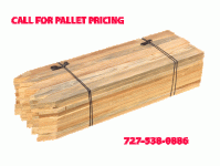 (image for) 24 Inch Wood Survey Lath 1/2" Thick (50 pcs)