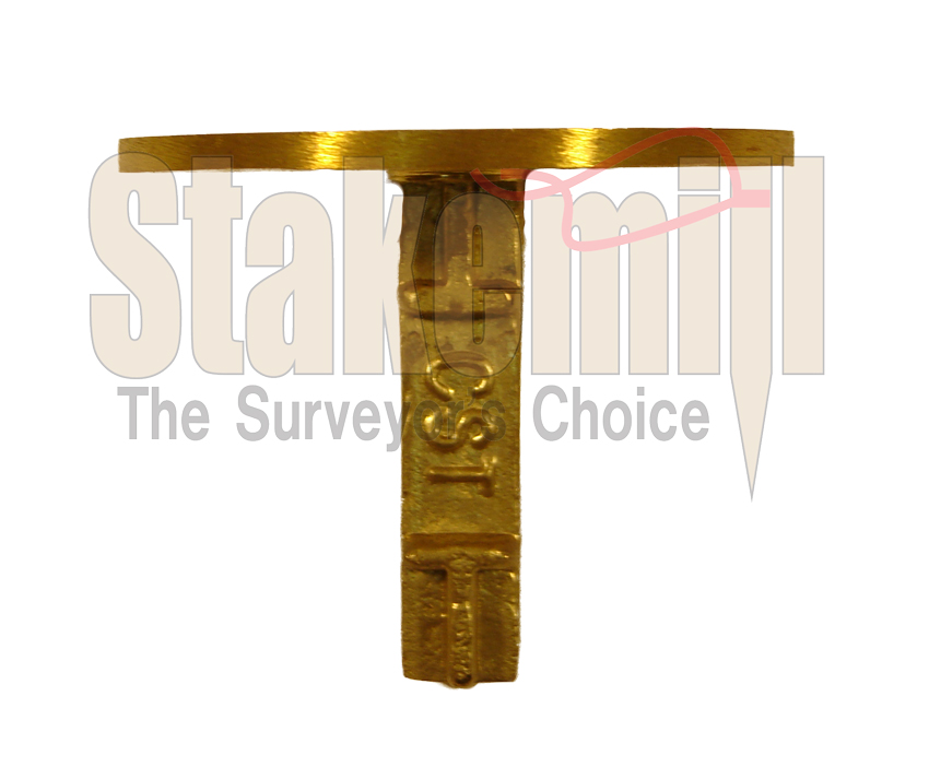 2-1/2 Inch Brass Survey Marker Flat Top 19-702 - Click Image to Close