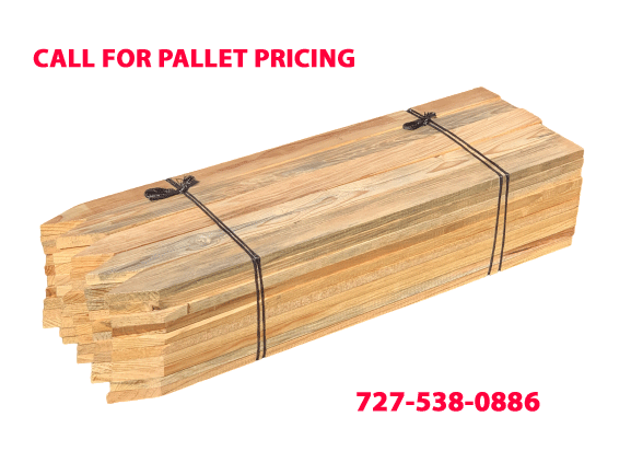 24 Inch Wood Survey Lath 1/2" Thick (50 pcs)